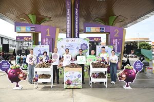 กรมการค้าภายในผนึกกำลัง 4 ปั๊มน้ำมันยักษ์ใหญ่ (PTT Station, Bangchak,   PT, Susco) ช่วยเกษตรกรภาคใต้ระบายมังคุดคุณภาพดี 300 ตัน!